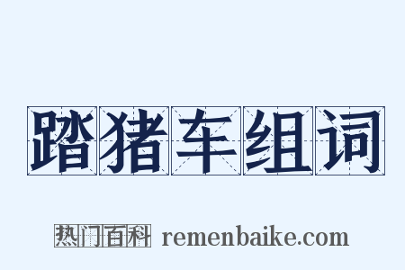 踏猪车组词是什么意思的图片